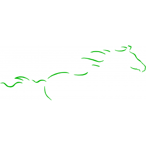 REPUESTOS EMASCUL. SERRA CURVO KRUUSE 200120