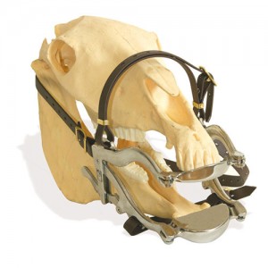 ABREBOCAS ESTANDAR (CLIMAX) C/PLATINAS CALIDAD EXTRA