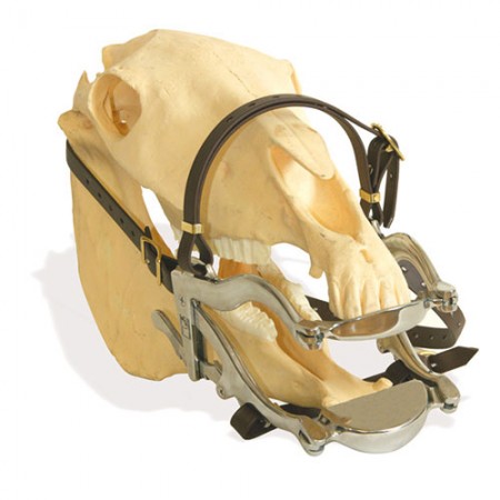 ABREBOCAS ESTANDAR (CLIMAX) C/PLATINAS CALIDAD EXTRA