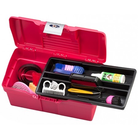 CAJA LIMPIEZA LEXHIS CLASSIC PLASTICO FRAMBUESA/GRIS