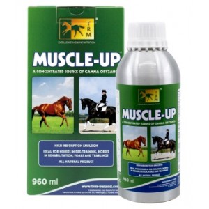 MUSCLE UP 960 ML