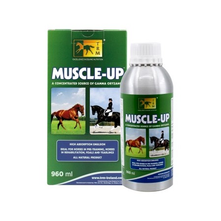 MUSCLE UP 960 ML