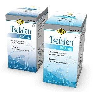 TSEFALEN 500MG 108 COMP.