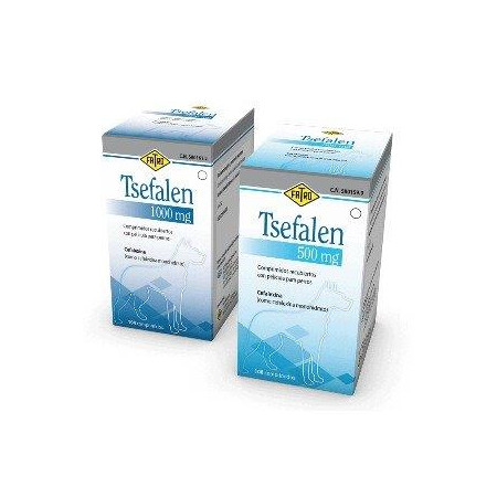 TSEFALEN 500MG 108 COMP.