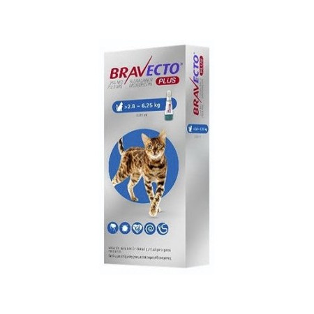 BRAVECTO PLUS 250 MG (2,8-6,25KG) SPOT ON GATO