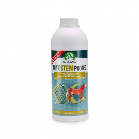 MYOSTEM PROTEC 900ML - Equinvest