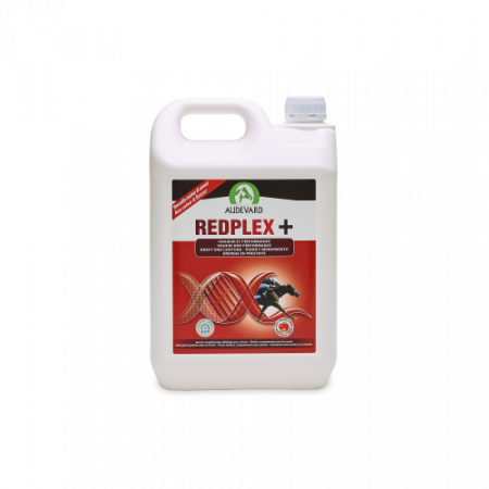 REDPLEX 5L - Equinvest