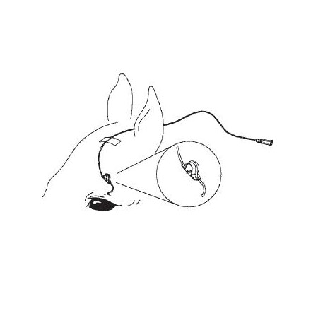 KIT LAVADO OJOS "MILA" 12GX60"