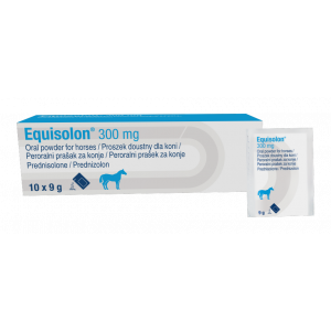 EQUISOLON 300MG 10 SOBRES DE 9GR