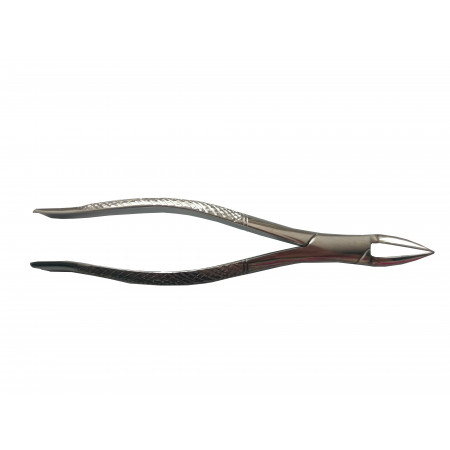 FORCEPS CURVO DIENTE DE LOBO 21CM B
