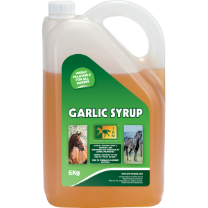 GARLIC SYRUP 6KG