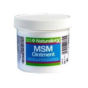 MSM OINTMENT 250GR. - Equinvest