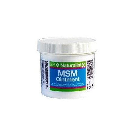 MSM OINTMENT 250GR. - Equinvest