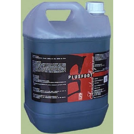 PLUSFOOT 5L - Equinvest