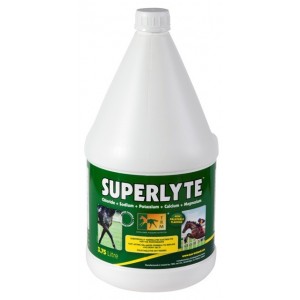 SUPERLYTE SYRUP 3,75 LITROS - Equinvest