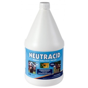 NEUTRACID 3,75 LITROS - Equinvest