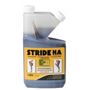 STRIDE HA SOLUÇÃO 1.183L - Equinvest