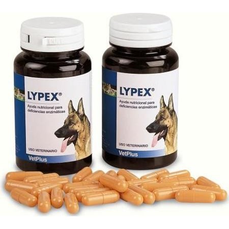 LYPEX 60 CAPS. - Equinvest