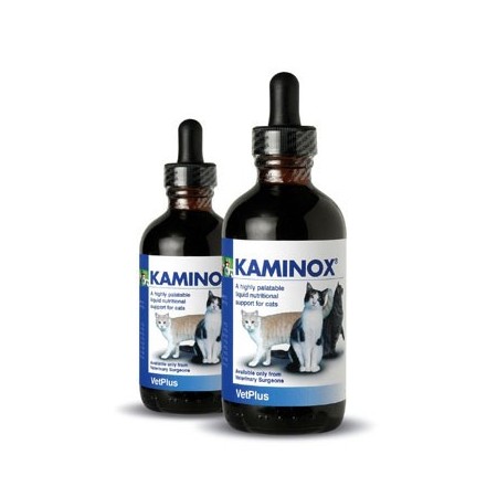 KAMINOX 120ML. - Equinvest