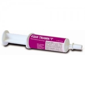 TRIAMIN PRO BUSTER 1JER.60ML - Equinvest