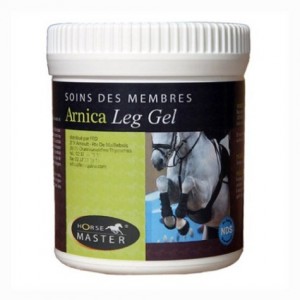 GEL LEG ARNICA 500GR - Equinvest