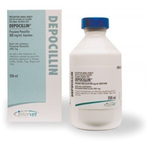 DEPOCILLIN 250 ML * - Equinvest