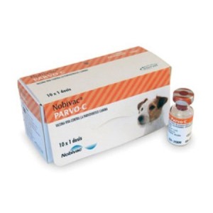 NOBIVAC PARVO-C+DILUYENTE X 1D * - Equinvest