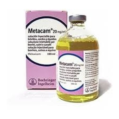 METACAM 20MG/ML 100 ML INY. EQUINOS - Equinvest