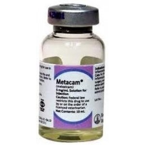 METACAM 5MG/ML 20 ML INY. - Equinvest