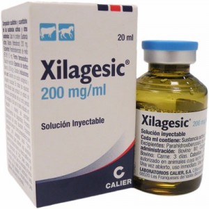 XILAGESIC 20% 20 ML - Equinvest