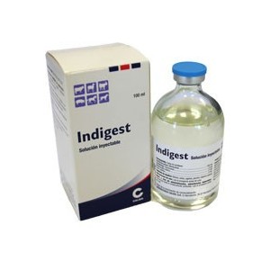 INDIGEST 100 ML - Equinvest