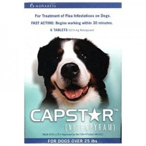 CAPSTAR 57MG 6COMP. - Equinvest