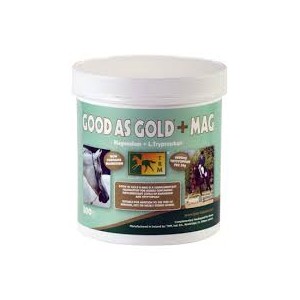 GOOD AS GOLD + MAGNÉSIO 500GR - Equinvest