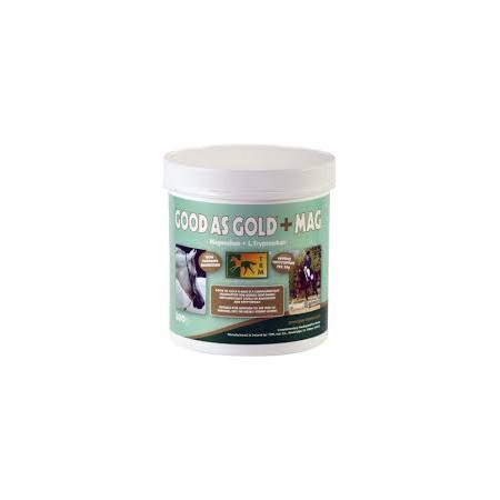 GOOD AS GOLD + MAGNÉSIO 500GR - Equinvest