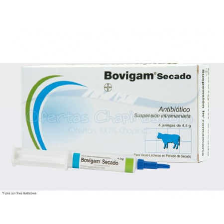 BOVIGAM SECADO JERINGA - Equinvest