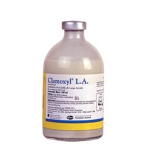 CLAMOXYL LA 100 ML. - Equinvest