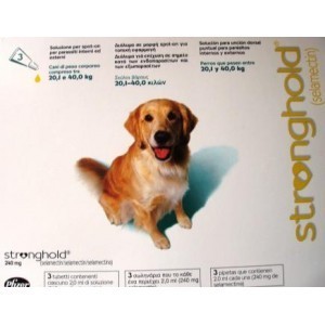 STRONGHOLD PERRO 240MG.3 PIPETAS 20-40K - Equinvest