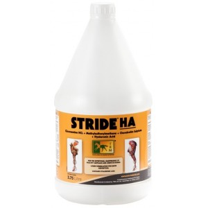 STRIDE HA SOLUÇÃO 3,75L - Equinvest