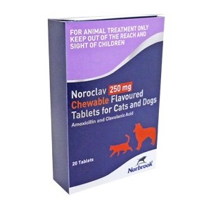 NOROCLAV 250MG 20 COMP. - Equinvest