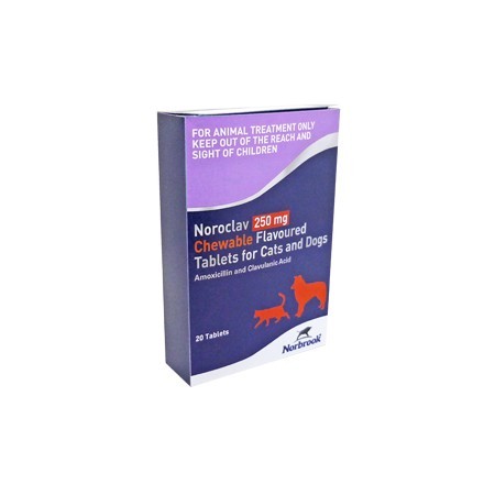NOROCLAV 250MG 20 COMP. - Equinvest