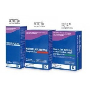 NOROCLAV 500MG 25 COMP. - Equinvest
