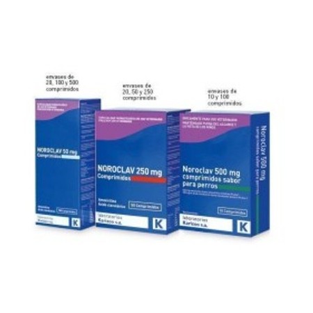 NOROCLAV 500MG 25 COMP. - Equinvest