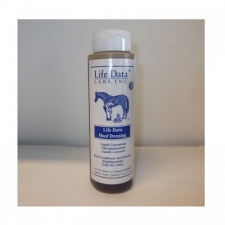 DESINFECTANTE CASCOS LIFE DATA 237ML - Equinvest