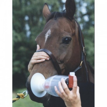 INALADOR HALER KRUUSE - Equinvest