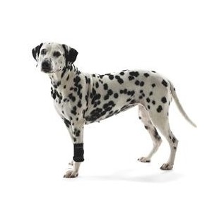 PROTECTOR CARPAL PERRO REHAB KRUUSE T-S - Equinvest