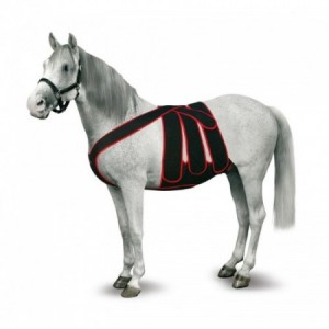 FAJA COMPLETA POS-OPERAT.CABALLO T-G VERDE - Equinvest