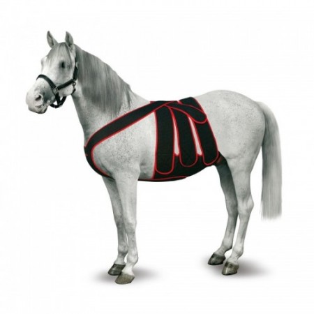 FAJA COMPLETA POS-OPERAT.CABALLO T-M ROJA - Equinvest