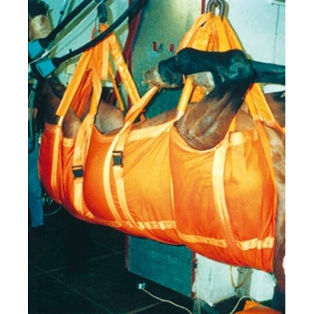 ARNES DE TRANSPORTE EQUINO EQUIVET (281560) - Equinvest