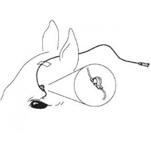 KIT LAVAGEM OLHOS "MILA" 12GX36 - Equinvest