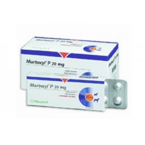 MARBOCYL P 20MG 10COMP. - Equinvest